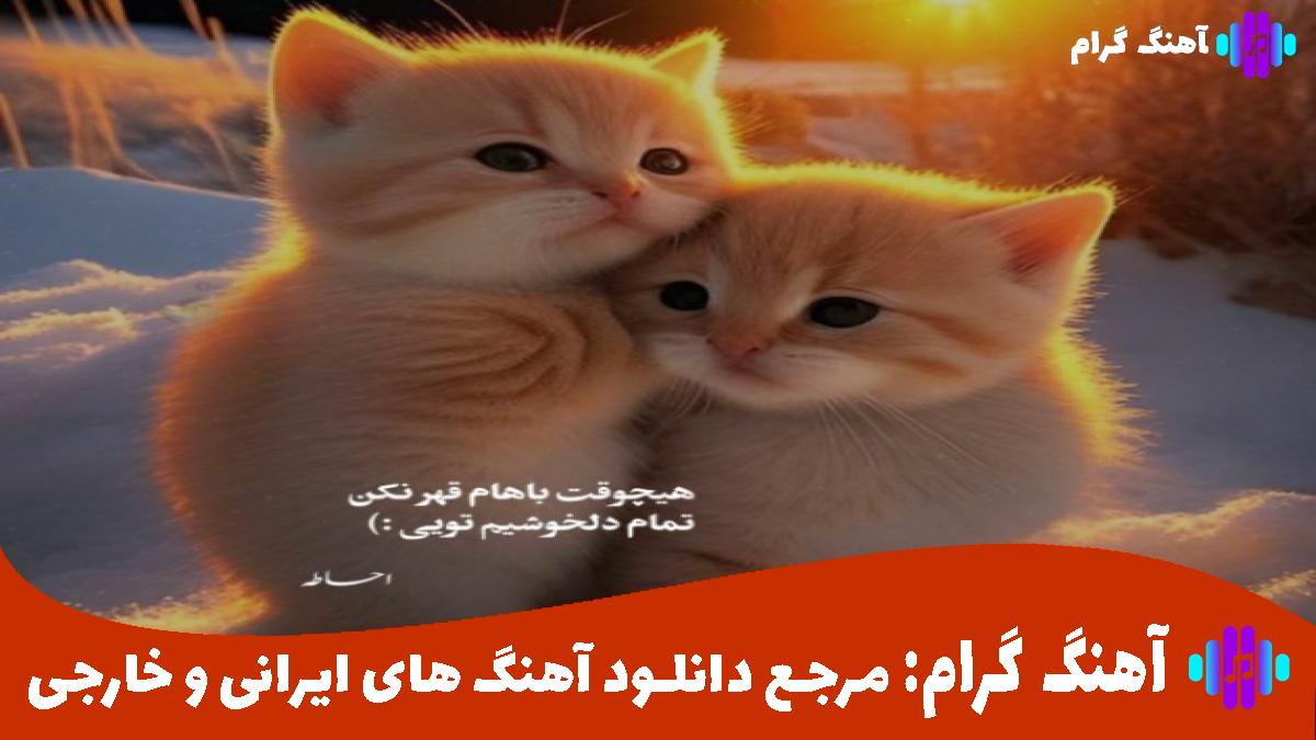 کاور آهنگ عشق واسه من یه معجزه است از ادل و هایده